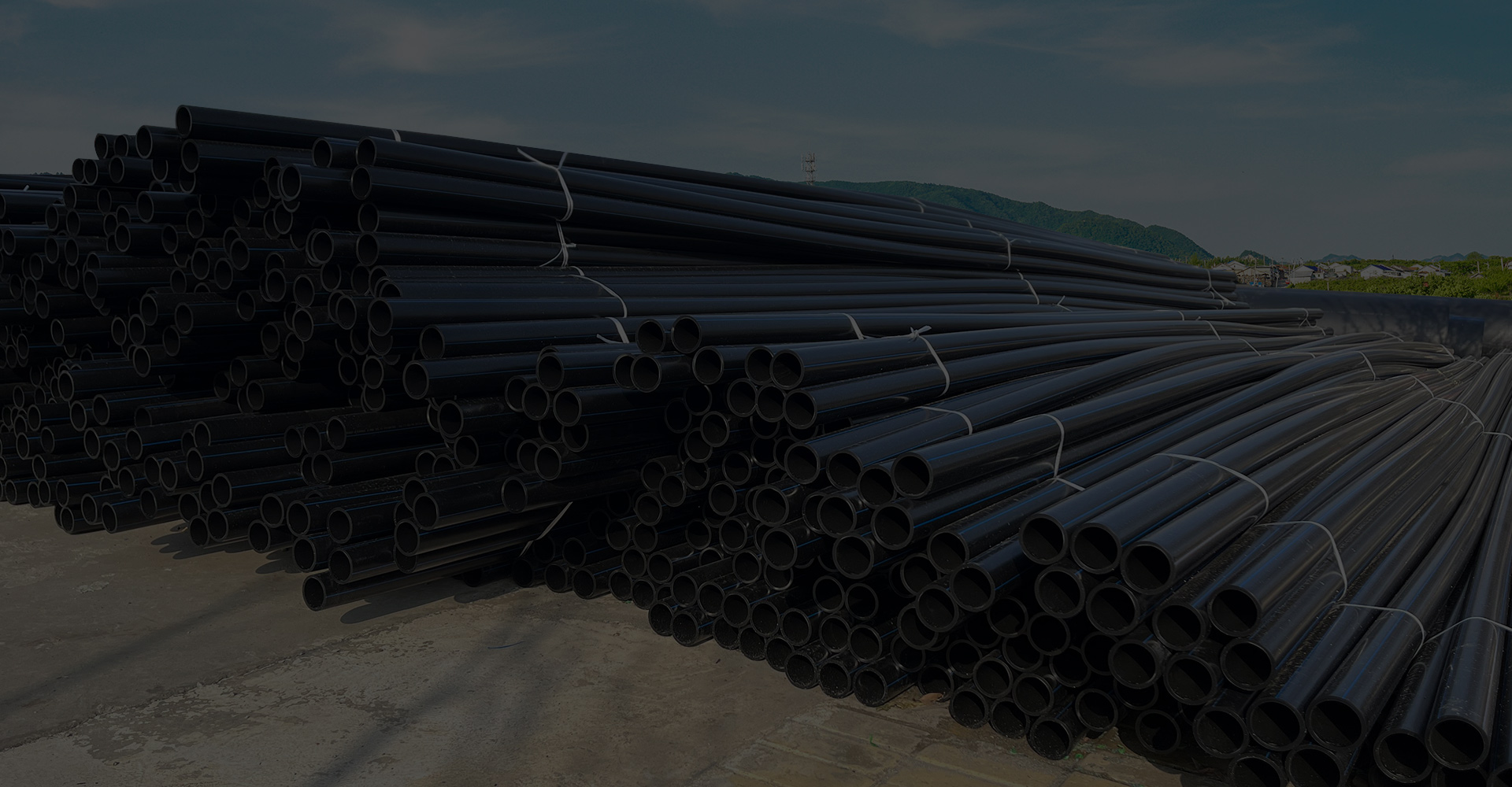 ����ά��